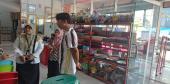 Profesor Name